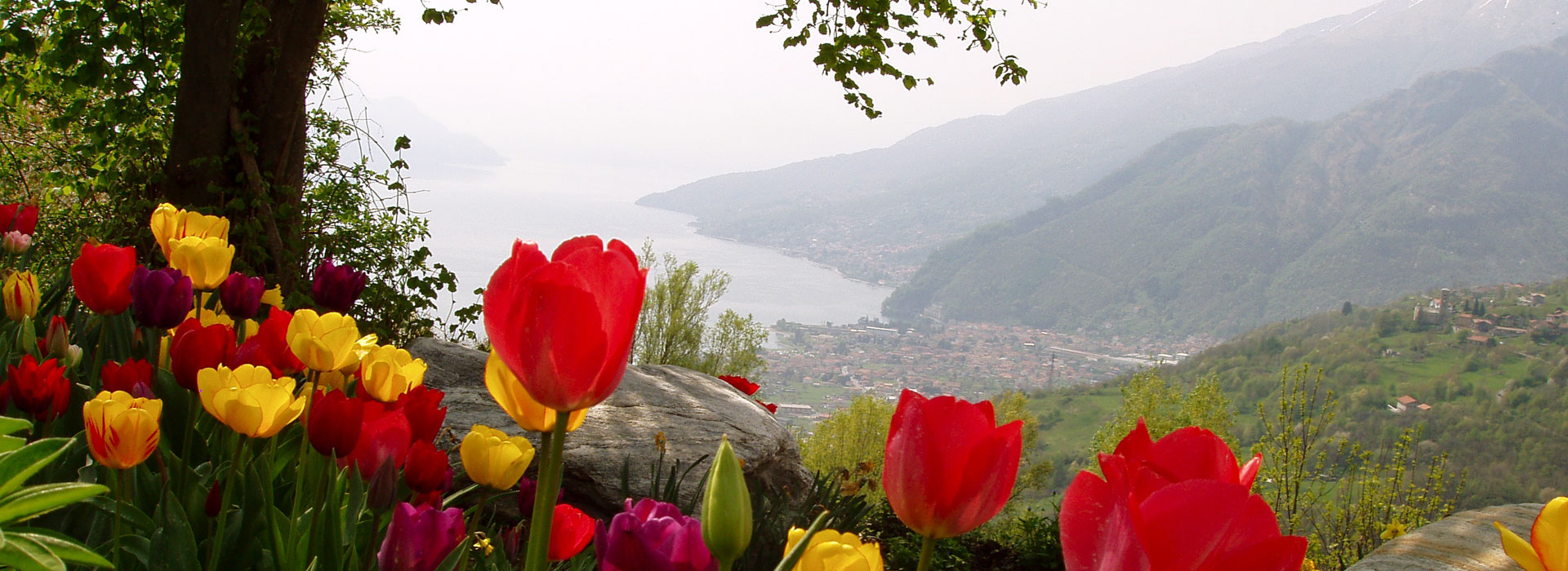 Casarina Wetter Webcam Gravedona